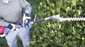 A person uses a Honda hedge trimmer on bushes.  